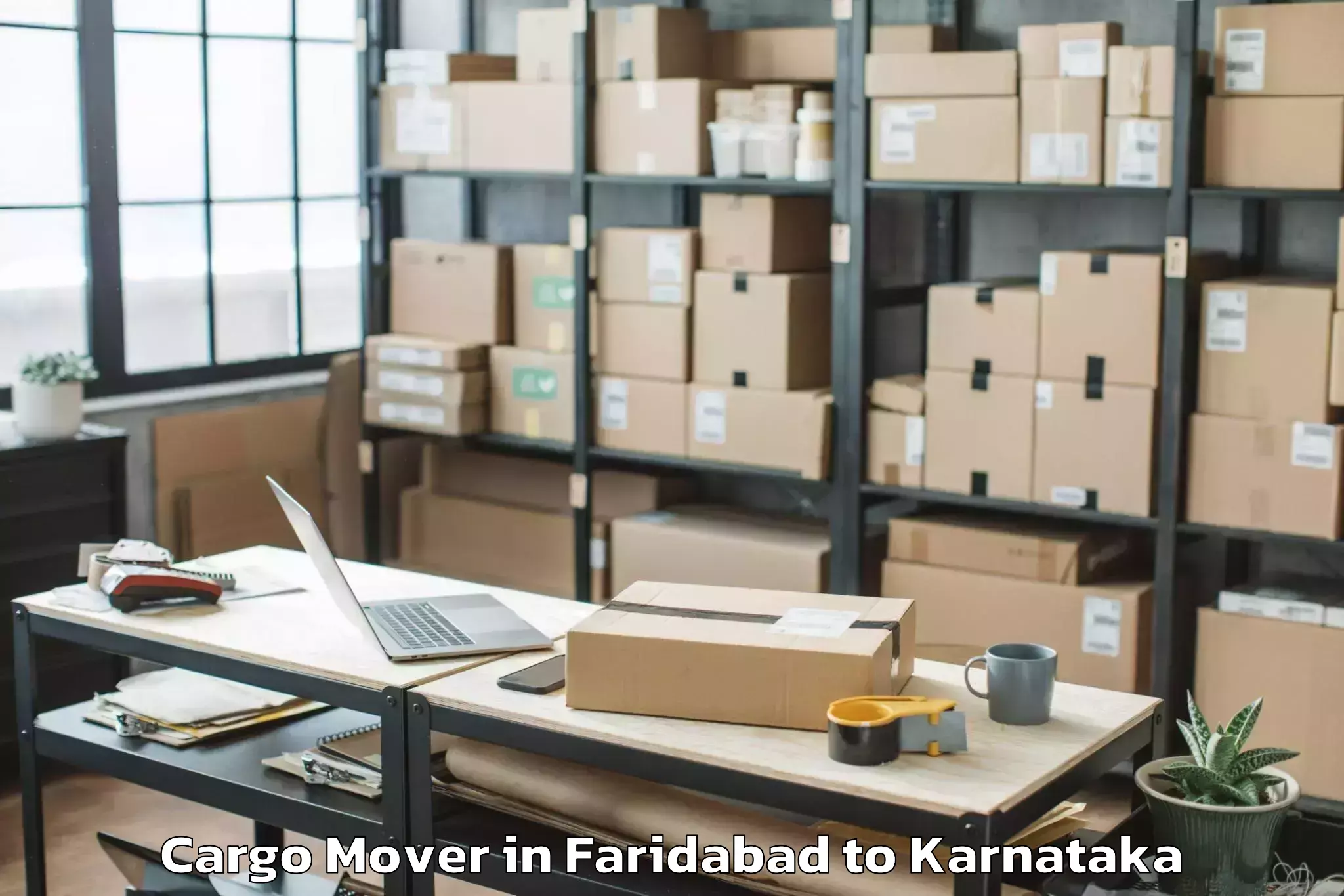 Expert Faridabad to Sharnbasva University Gulbarga Cargo Mover